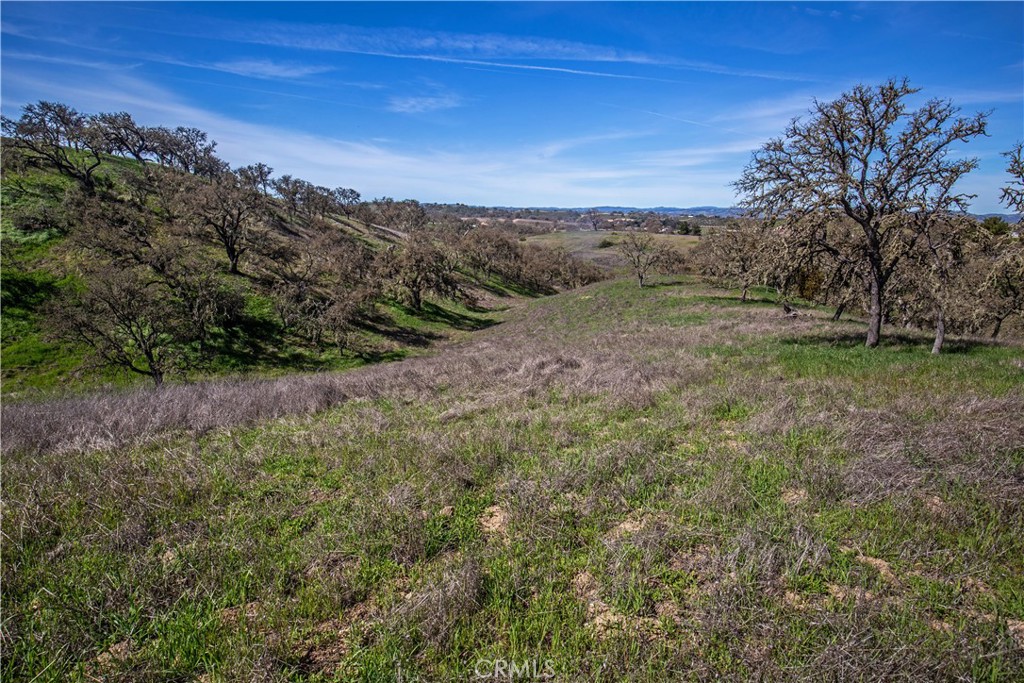 930 Windwood Road Paso Robles, CA 93446 - Photo 36 of 67 a view of a yard with a tree