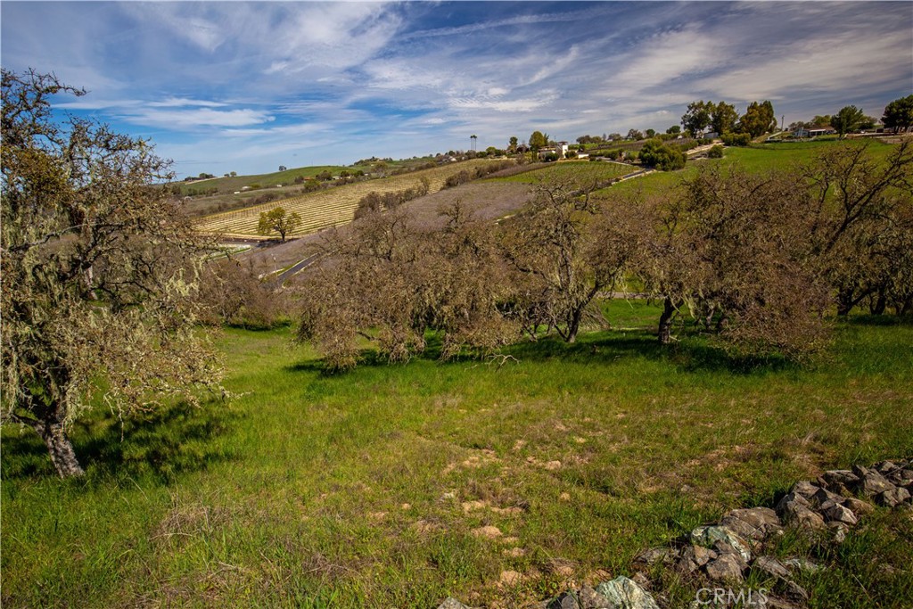 930 Windwood Road Paso Robles, CA 93446 - Photo 43 of 67 a view of a yard with an outdoor space
