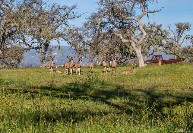 $1,428,000 | 930 Windwood Road, Paso Robles, CA 93446