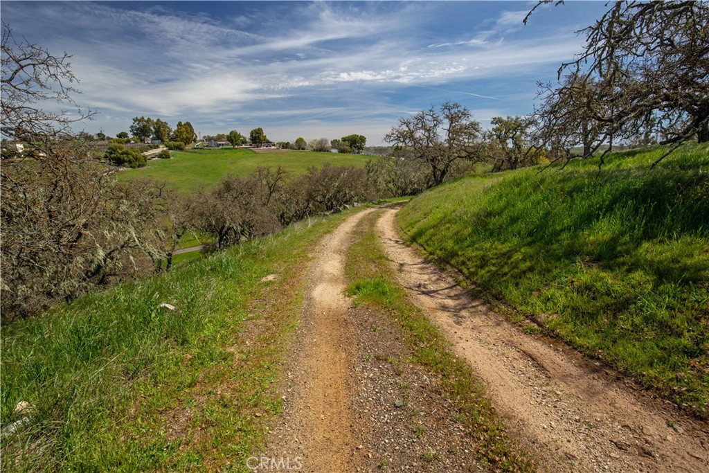 930 Windwood Road Paso Robles, CA 93446 - Photo 61 of 67 a view of a street with a yard
