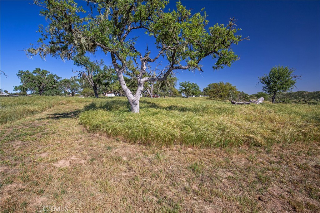 930 Windwood Road Paso Robles, CA 93446 - Photo 9 of 67 a view of a yard