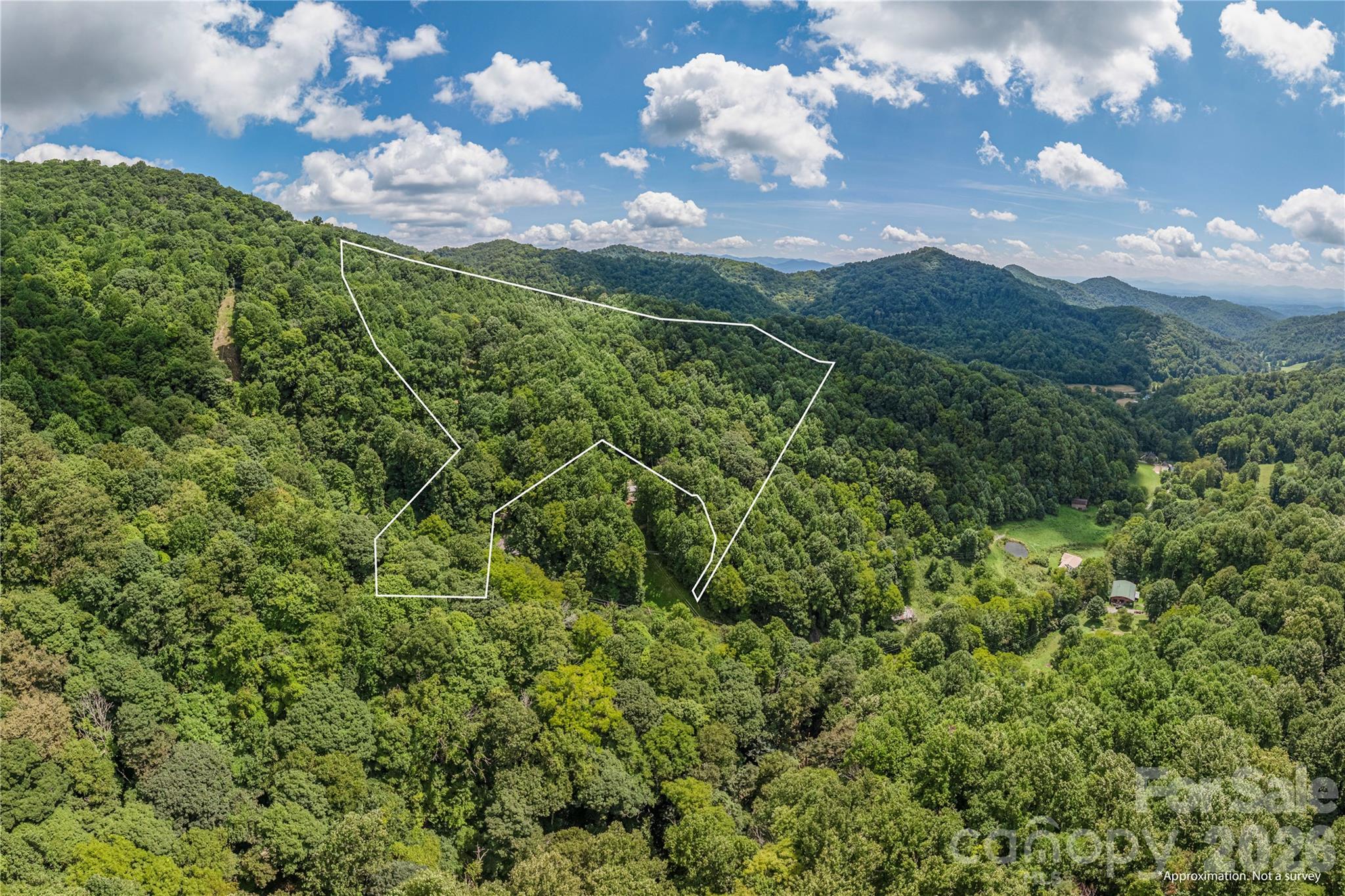 99999 Rabbit Run Marshall, NC 28753 - Photo 5 of 20 Gallery Image 5