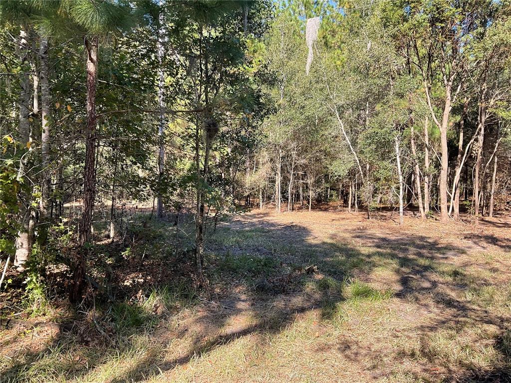 5542 Southwest 57th Avenue Gainesville, FL 32608 - Photo 1 of 1
