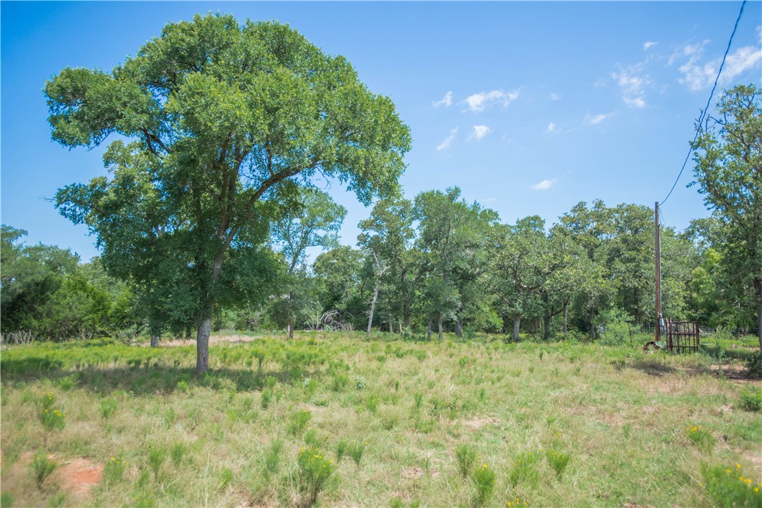 0 Sandholler Road Red Rock, TX 78662 - Photo 1 of 1 Gallery Image 1