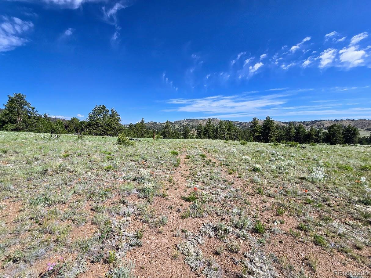 189 Boulder Road Hartsel, CO 80449 - Photo 36 of 40 a view of a field with an ocean