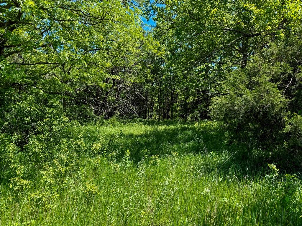 0 South Stanley Road Quenemo, KS 66528 - Photo 14 of 44