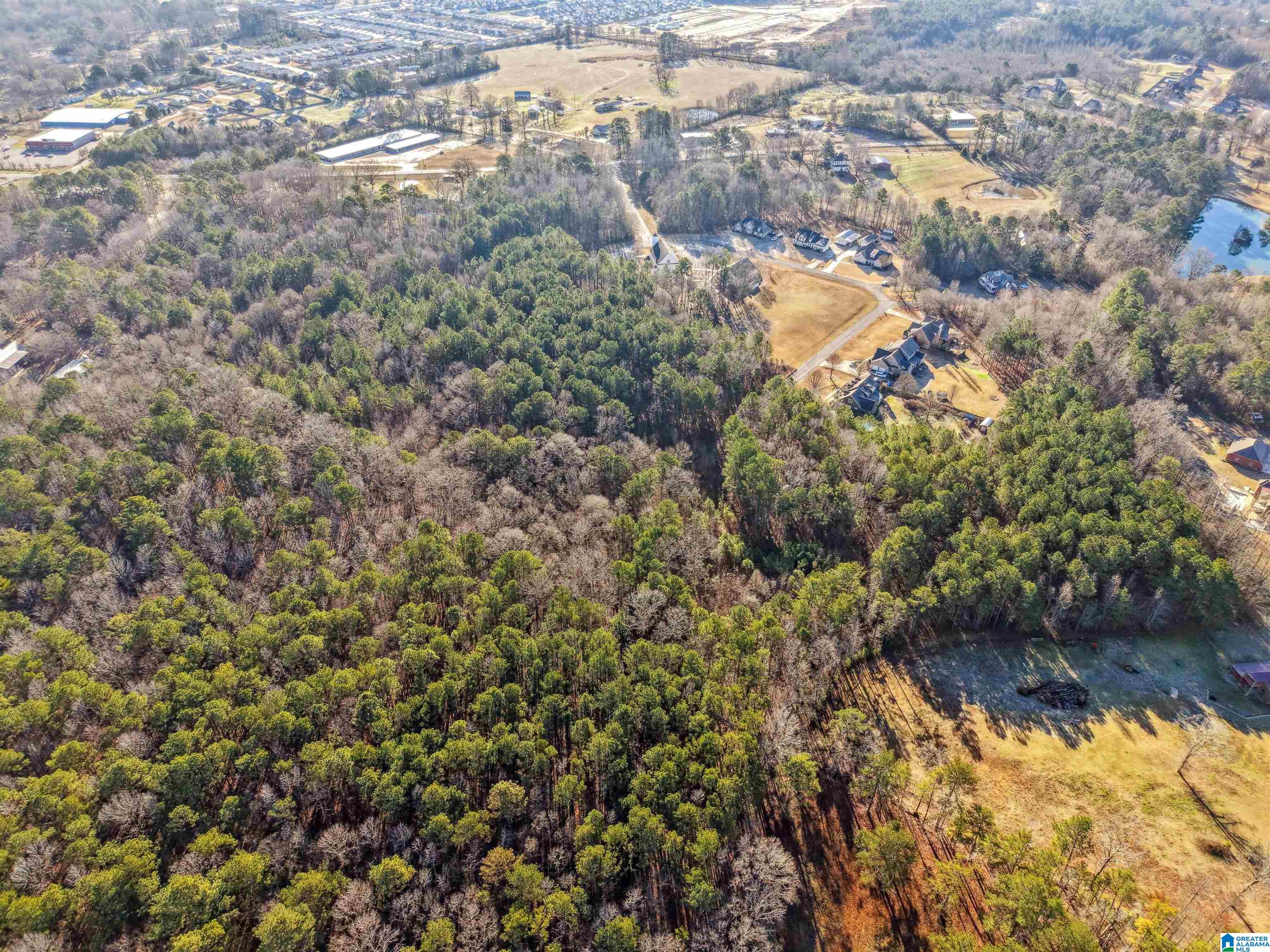 0 Branch Cove, Unit PHASE 2 Odenville, AL 35120 - Photo 17 of 32