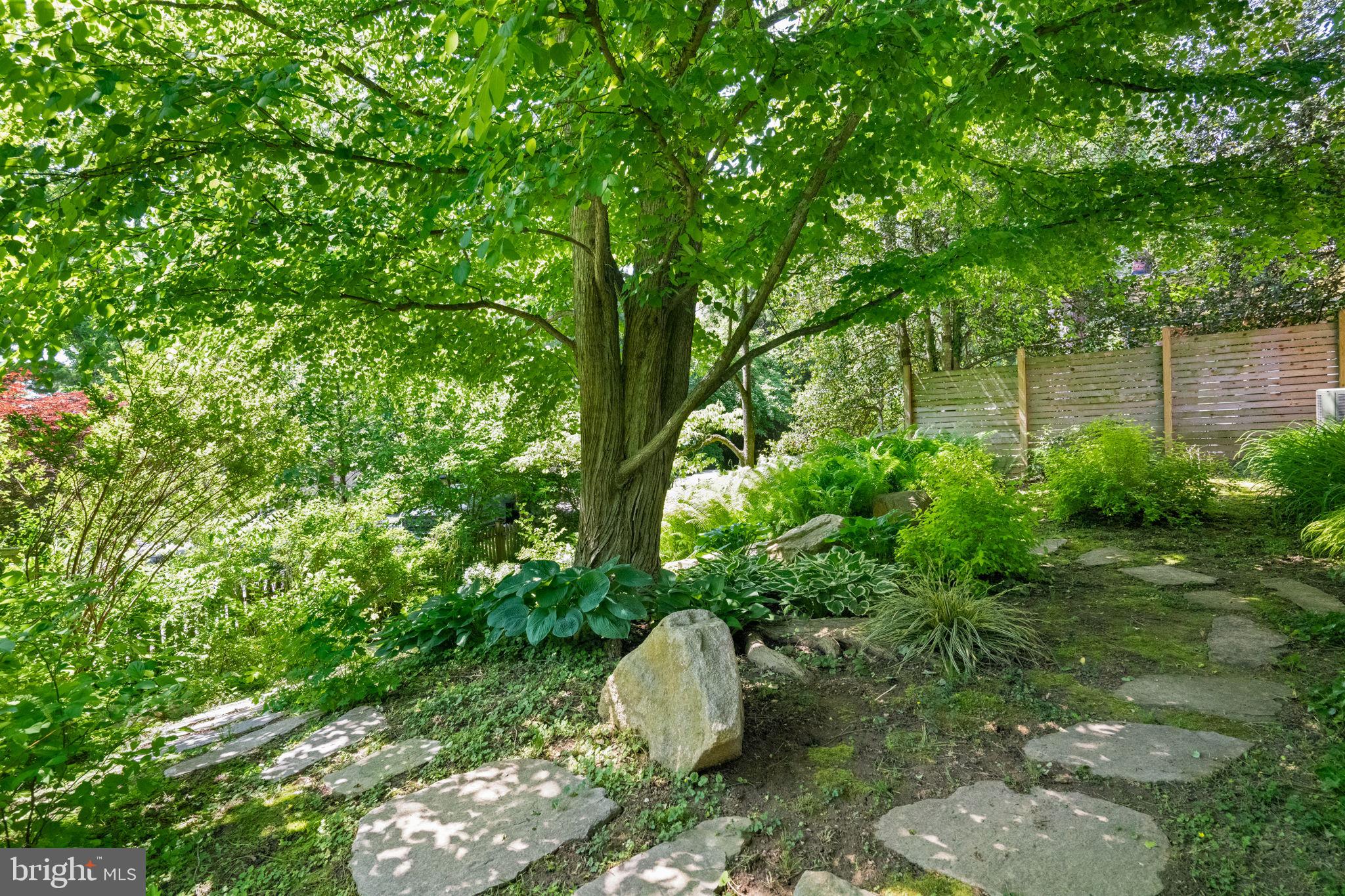 126 West Gravers Lane Philadelphia, PA 19118 - Photo 47 of 55
