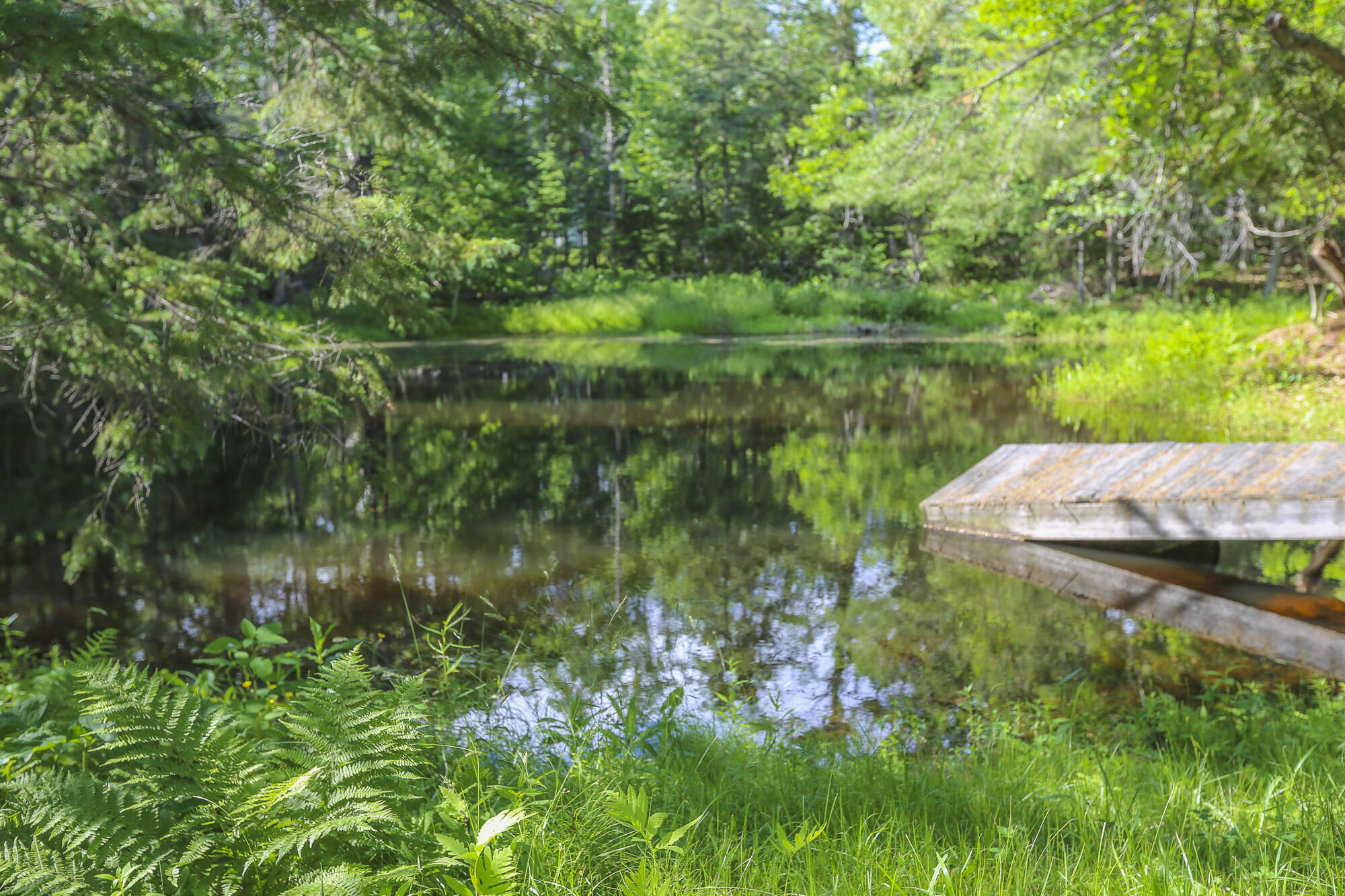 502 Curtis Road Swanville, ME 04915 - Photo 51 of 70 SearsportMaine-44