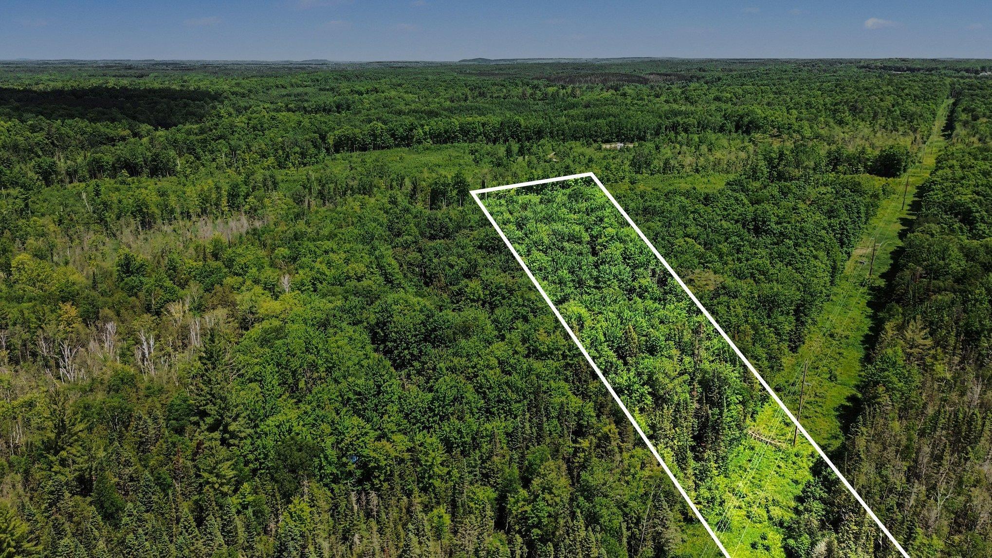 V/l 3rd Road Kalkaska, MI 49646 - Photo 5 of 17