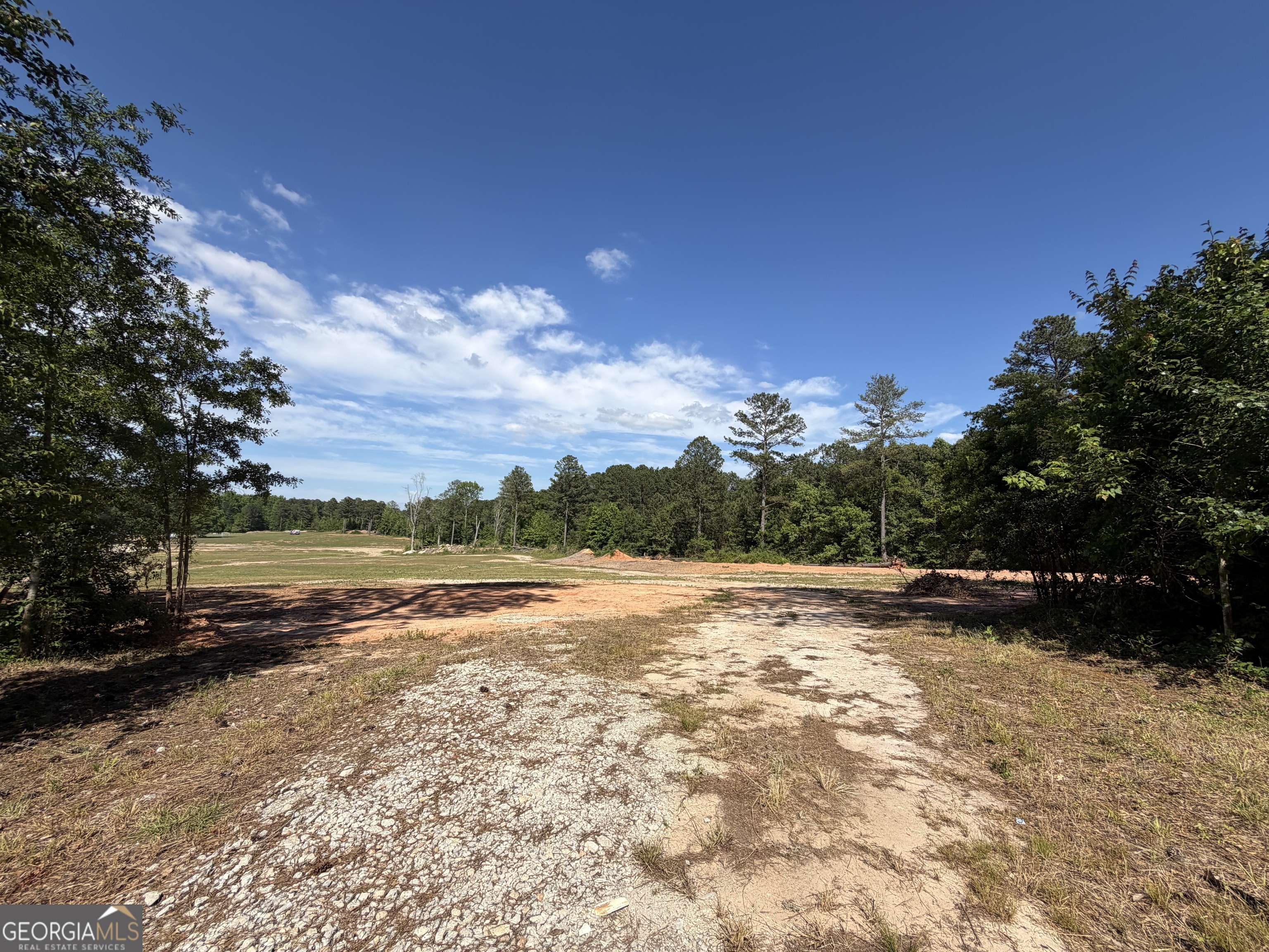 1330 Steele Road Griffin, GA 30223 - Photo 5 of 5