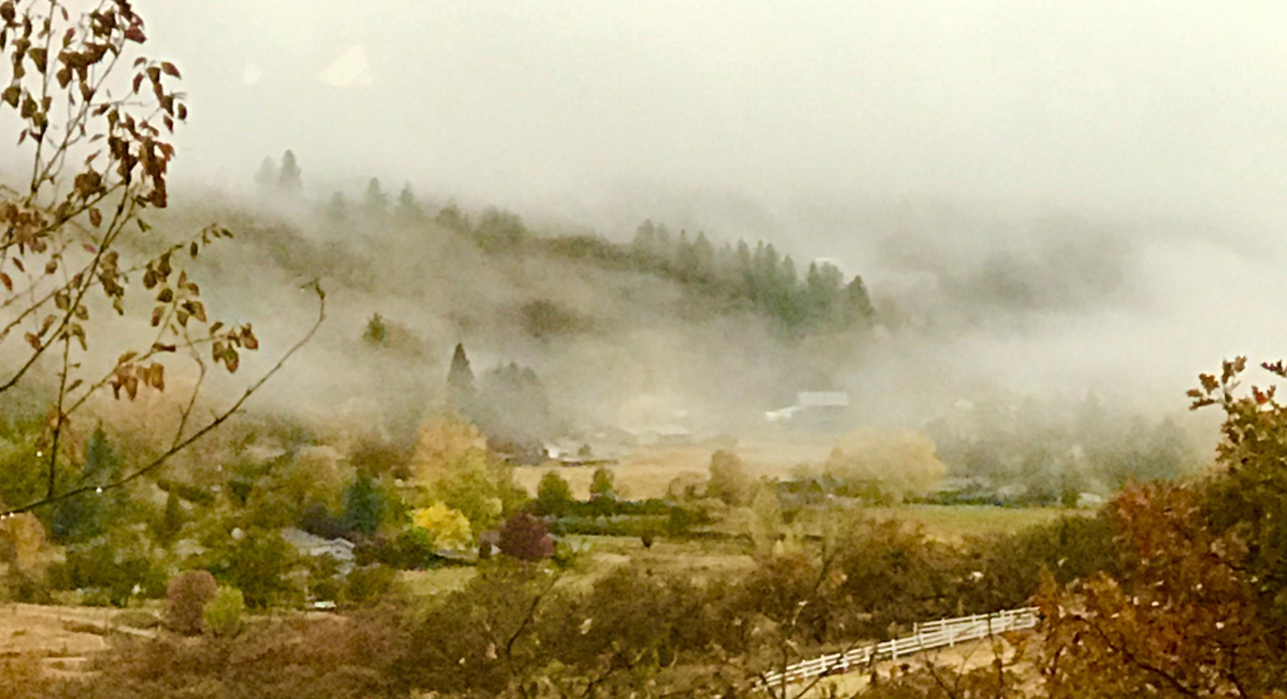 5196 Pioneer Road Medford, OR 97501 - Photo 62 of 94 Fall fog.