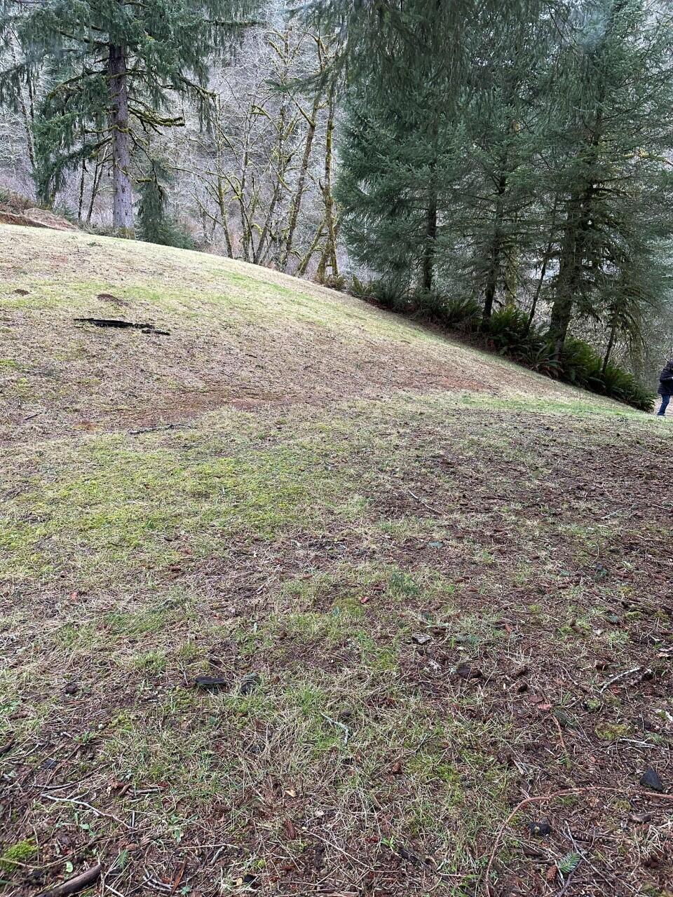 11-12 Big Trout Road Grand Ronde, OR 97347 - Photo 10 of 17 pic15_IMG_0792