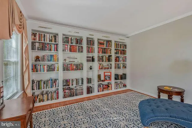 a living room with a couch and a book shelf