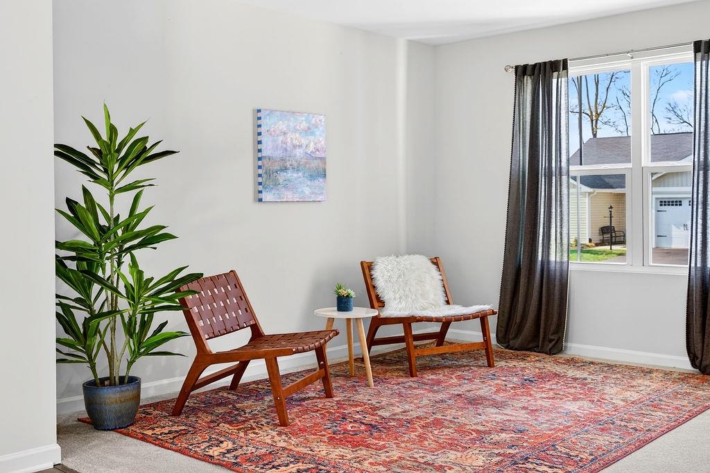 125 White Birch Road Waynesboro, VA 22980 - Photo 8 of 36