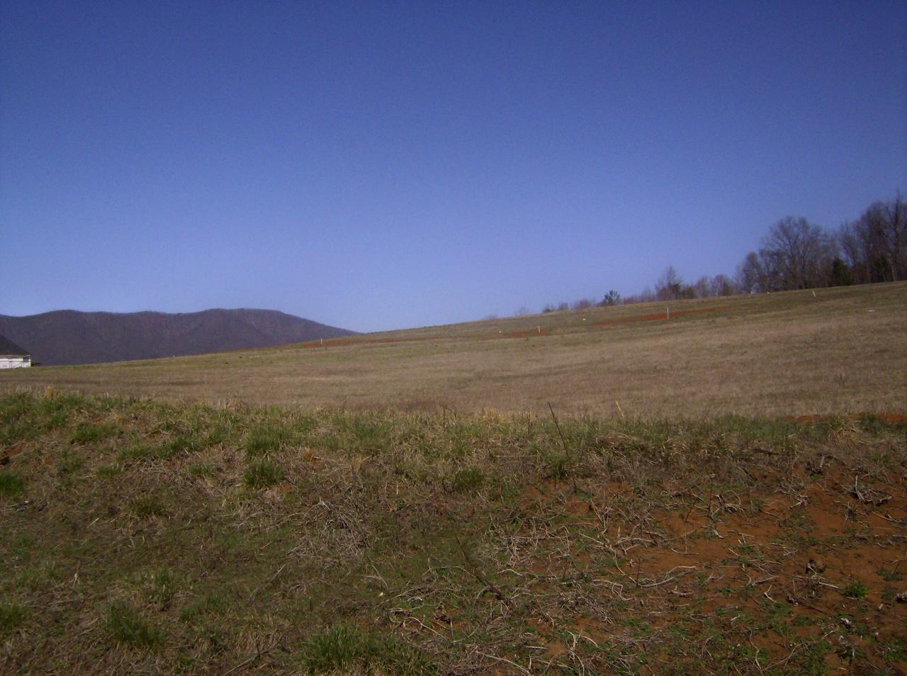 Lot 29 Green Level Road Boones Mill, VA 24065 - Photo 1 of 3 Cahas Green Lot 29