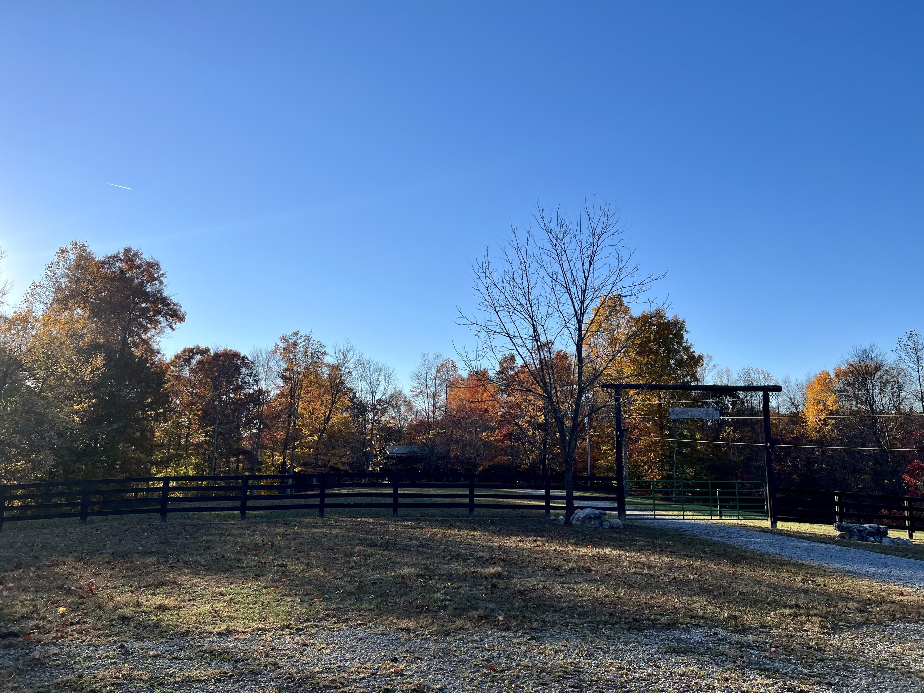 425 Turkey Flat Road Columbia, KY 42728 - Photo 11 of 60 6067A689-F94D-4820-A86C-F7FB15E2A887