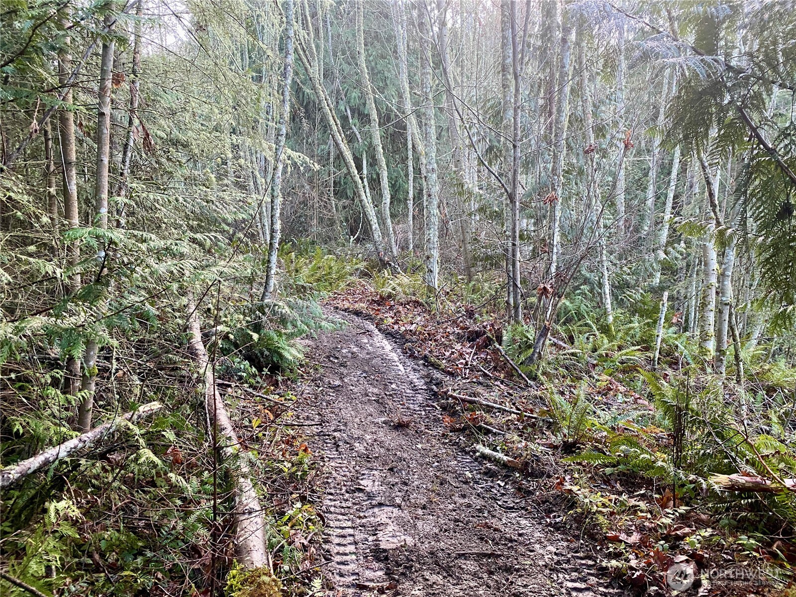 0 Chelsamish Drive Sequim, WA 98382 - Photo 14 of 16