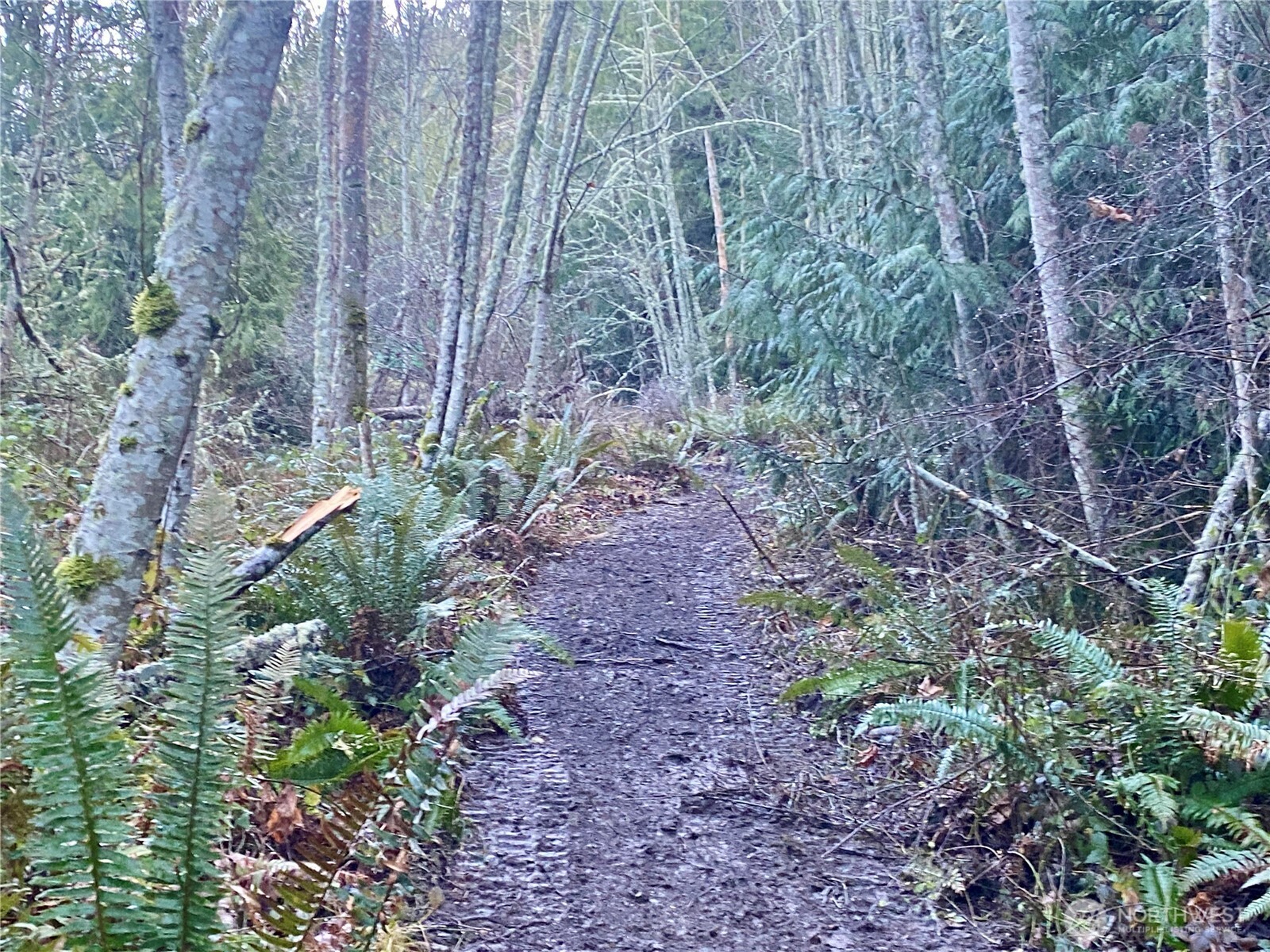 0 Chelsamish Drive Sequim, WA 98382 - Photo 16 of 16