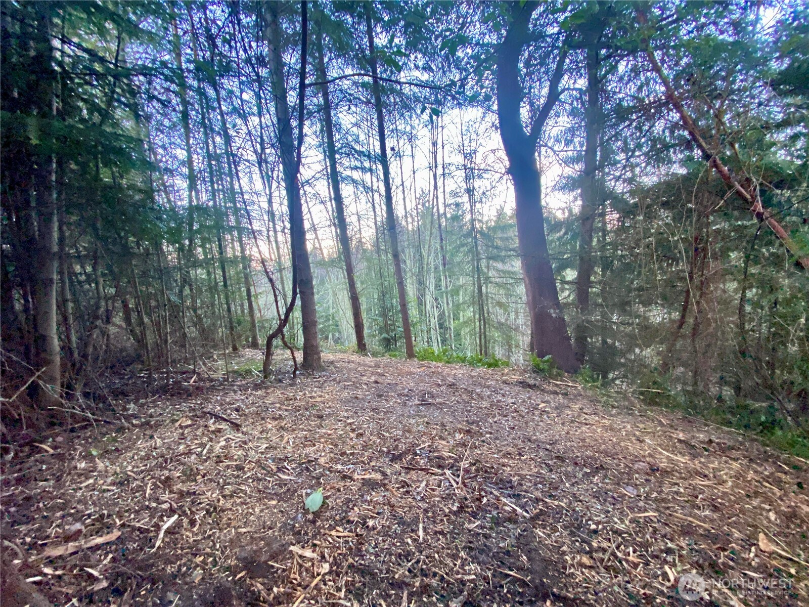 0 Chelsamish Drive Sequim, WA 98382 - Photo 5 of 16