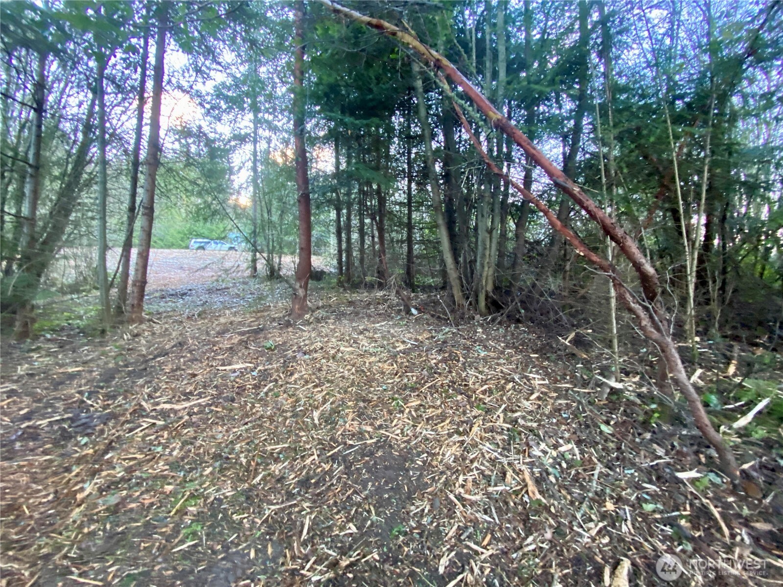 0 Chelsamish Drive Sequim, WA 98382 - Photo 6 of 16