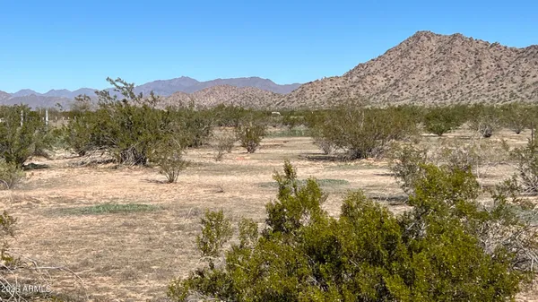 a view of a yard with a mountain