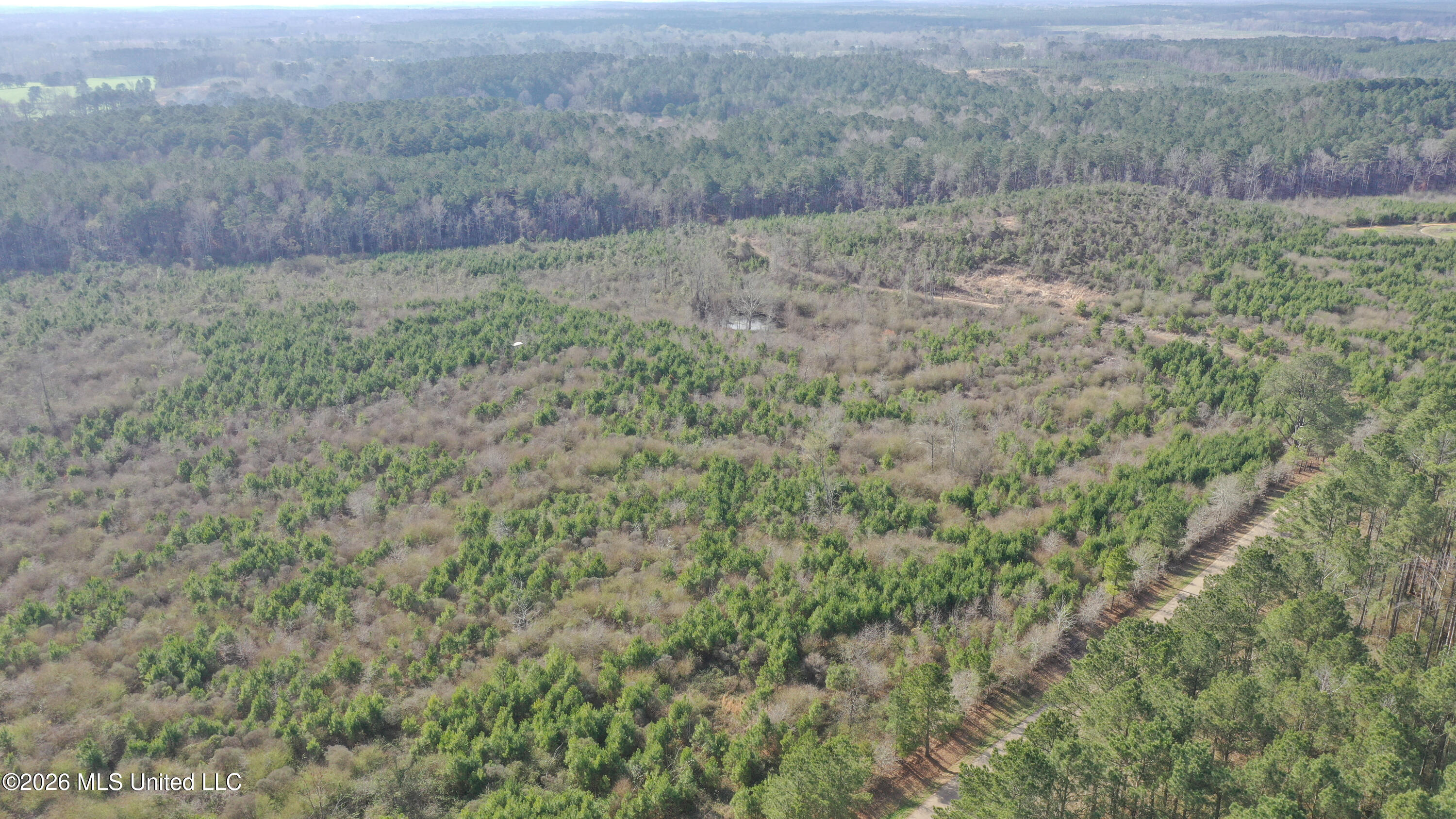 Warren Hill Place Brandon, MS 39042 - Photo 2 of 8 DJI_0400