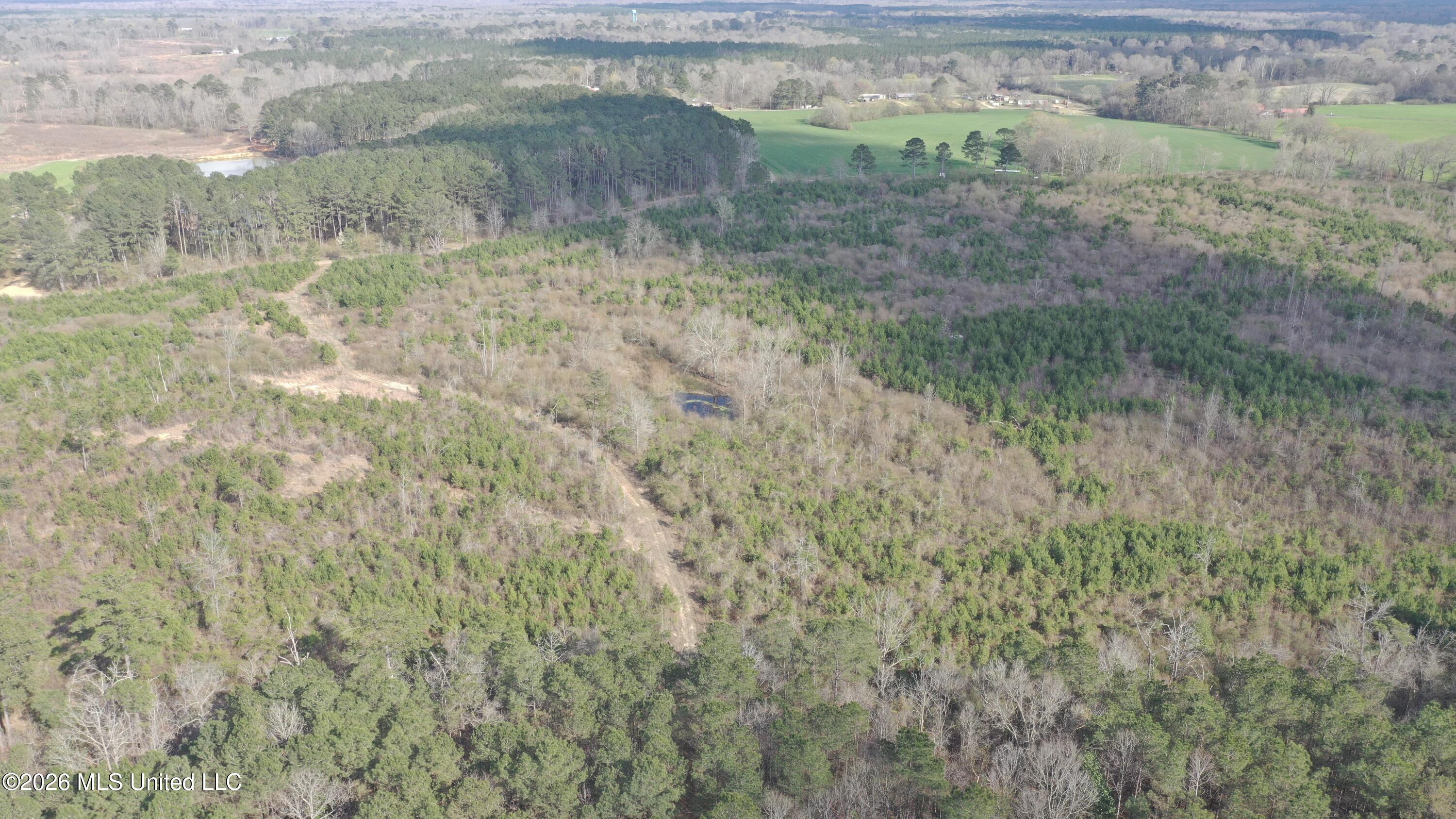 Warren Hill Place Brandon, MS 39042 - Photo 4 of 8 DJI_0390