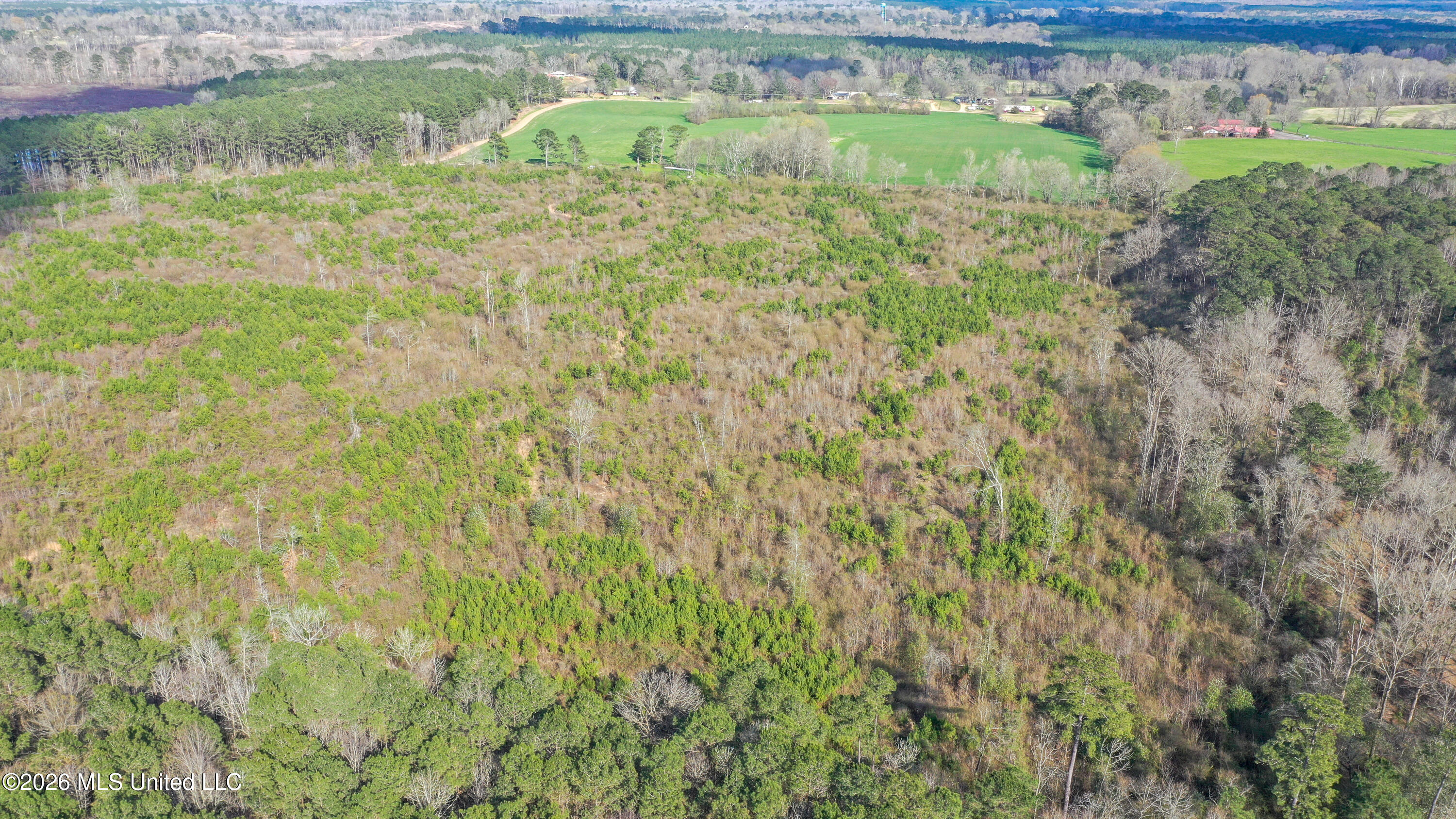Warren Hill Place Brandon, MS 39042 - Photo 5 of 8 DJI_0392