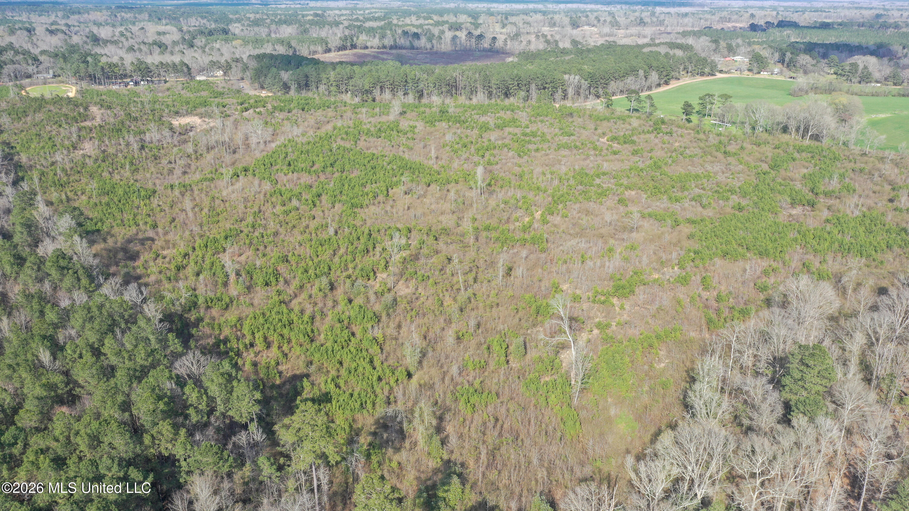 Warren Hill Place Brandon, MS 39042 - Photo 6 of 8 DJI_0393