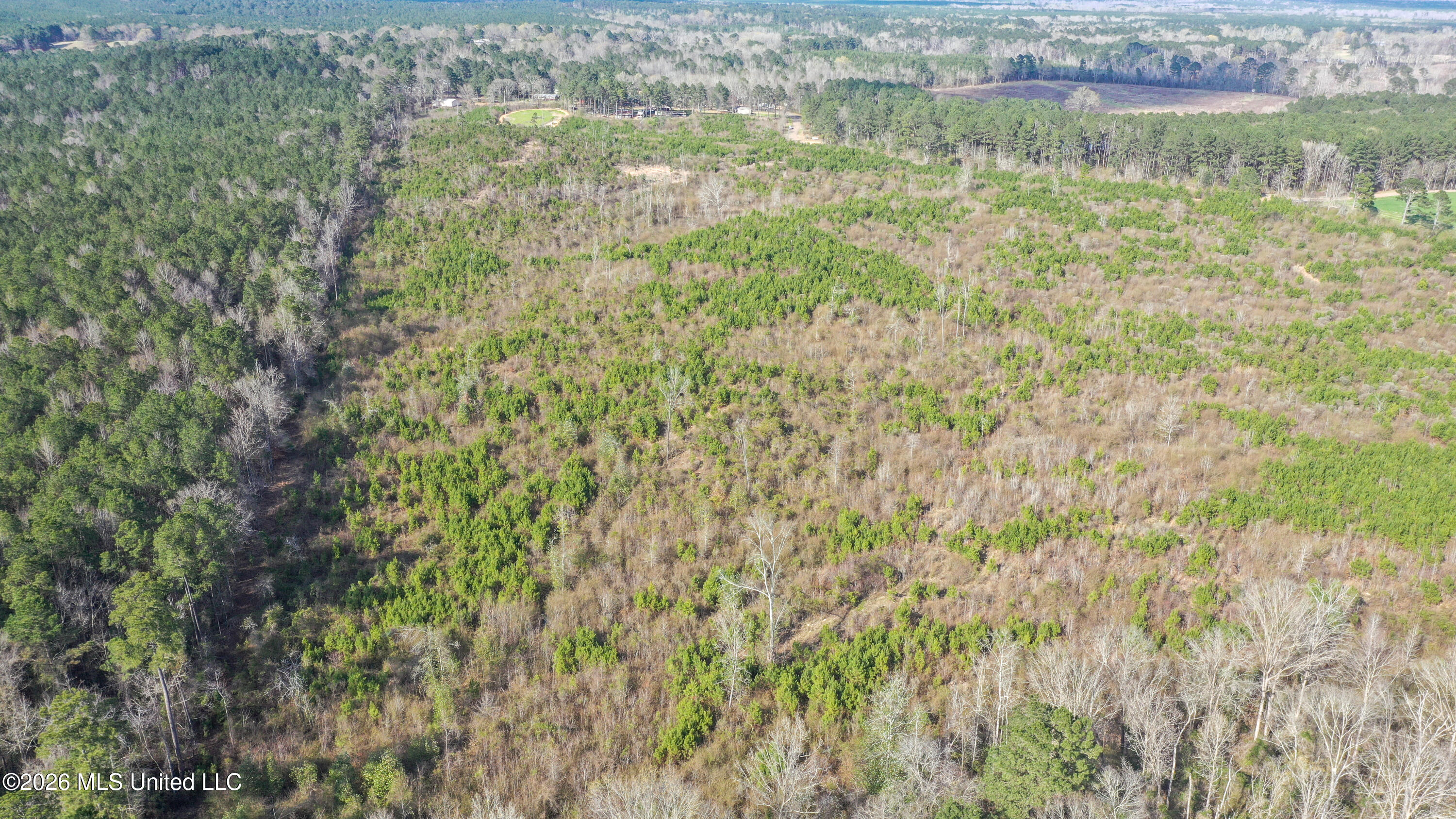 Warren Hill Place Brandon, MS 39042 - Photo 7 of 8 DJI_0394