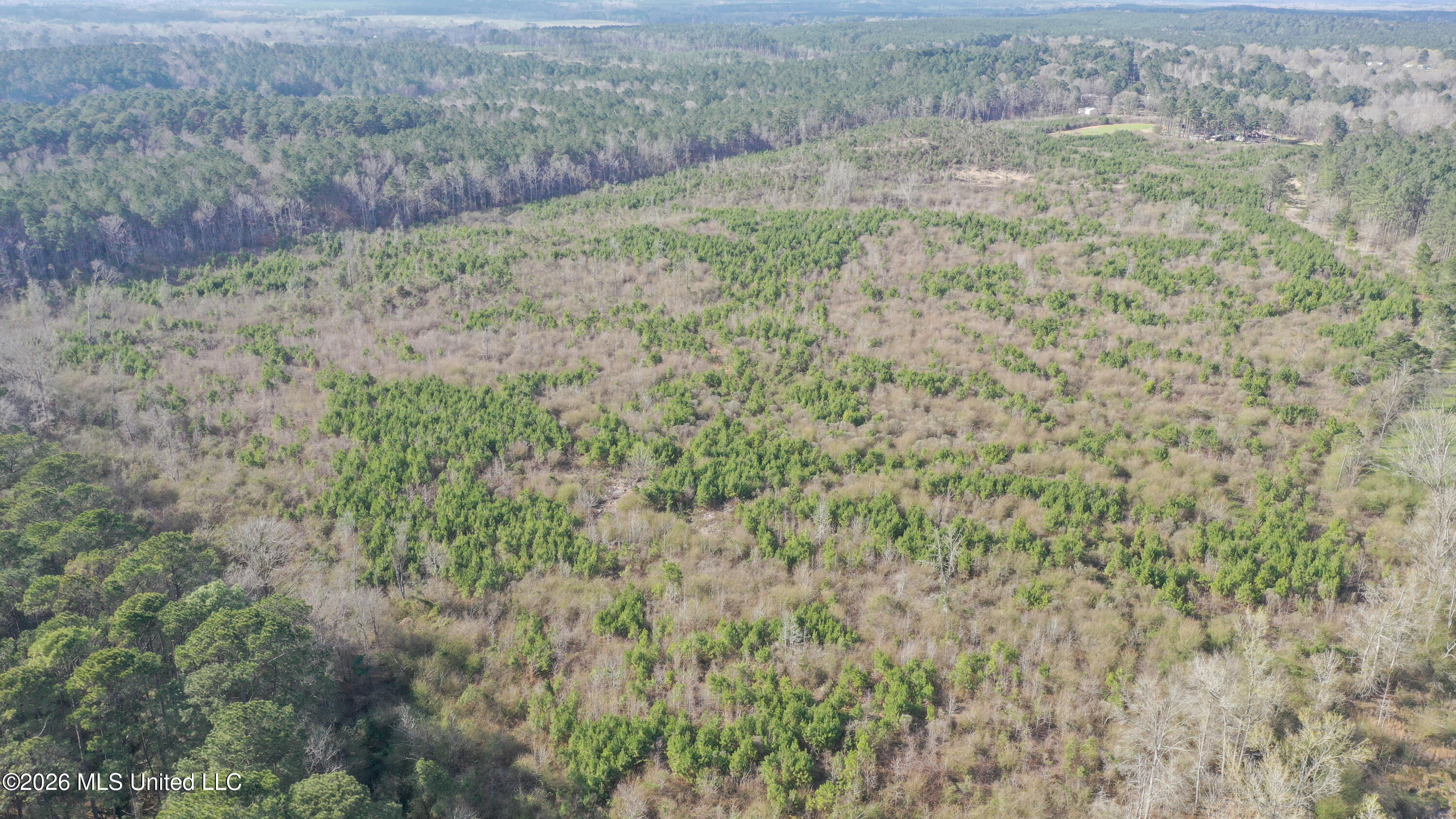 Warren Hill Place Brandon, MS 39042 - Photo 8 of 8 DJI_0397