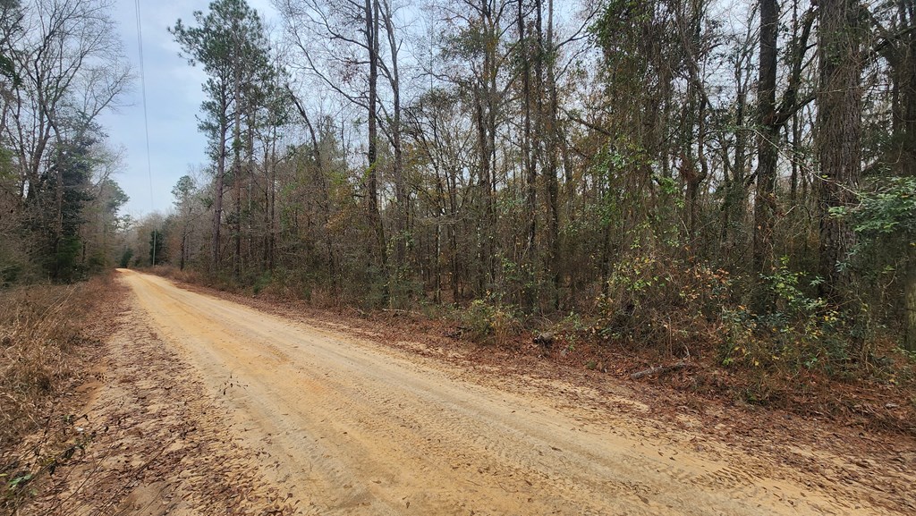 15.05 Pera Road Samson, AL 36477 - Photo 6 of 29