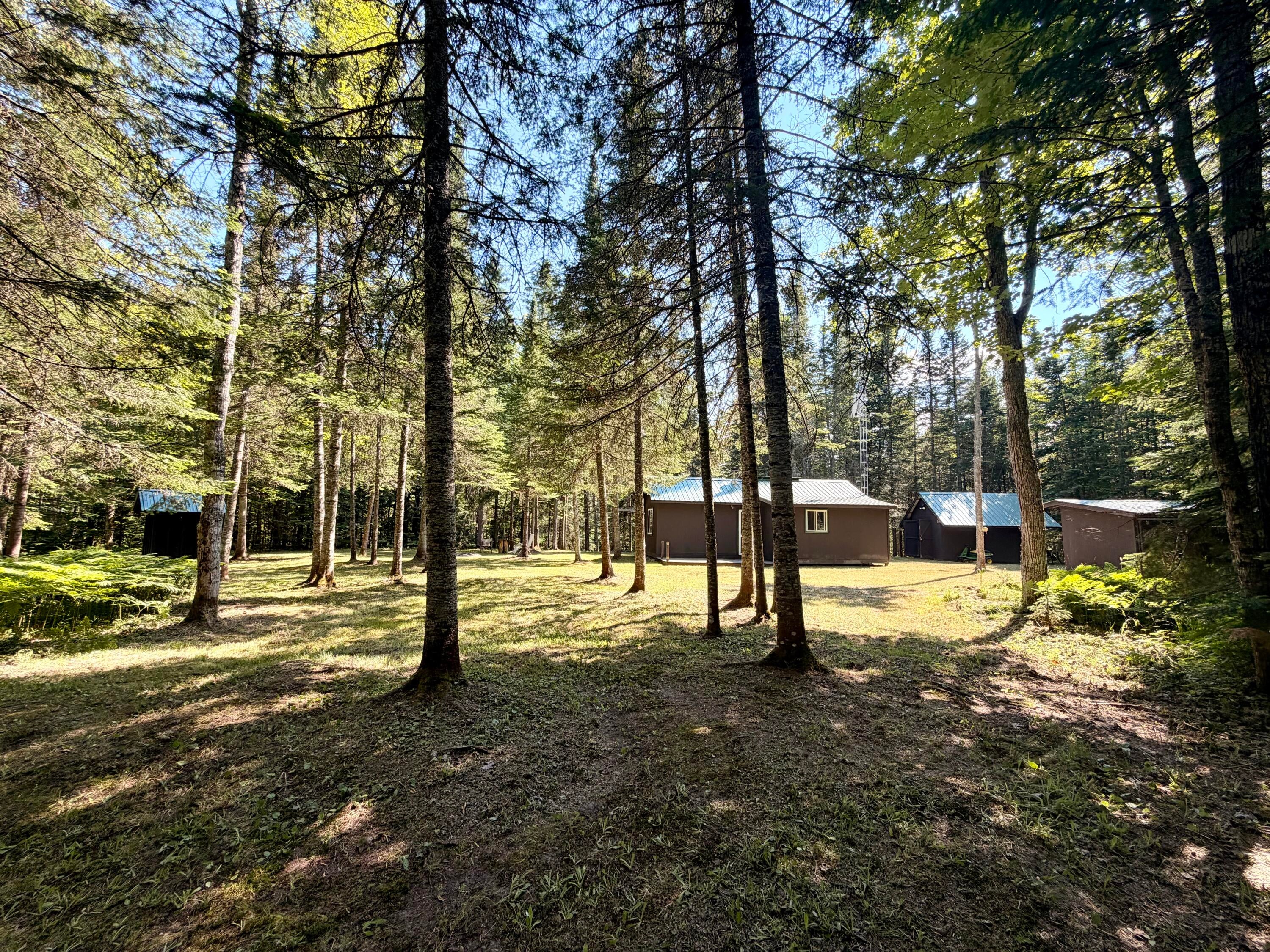 Tbd North Hulbert Road Eckerman, MI 49728 - Photo 4 of 92 Gallery Image 4