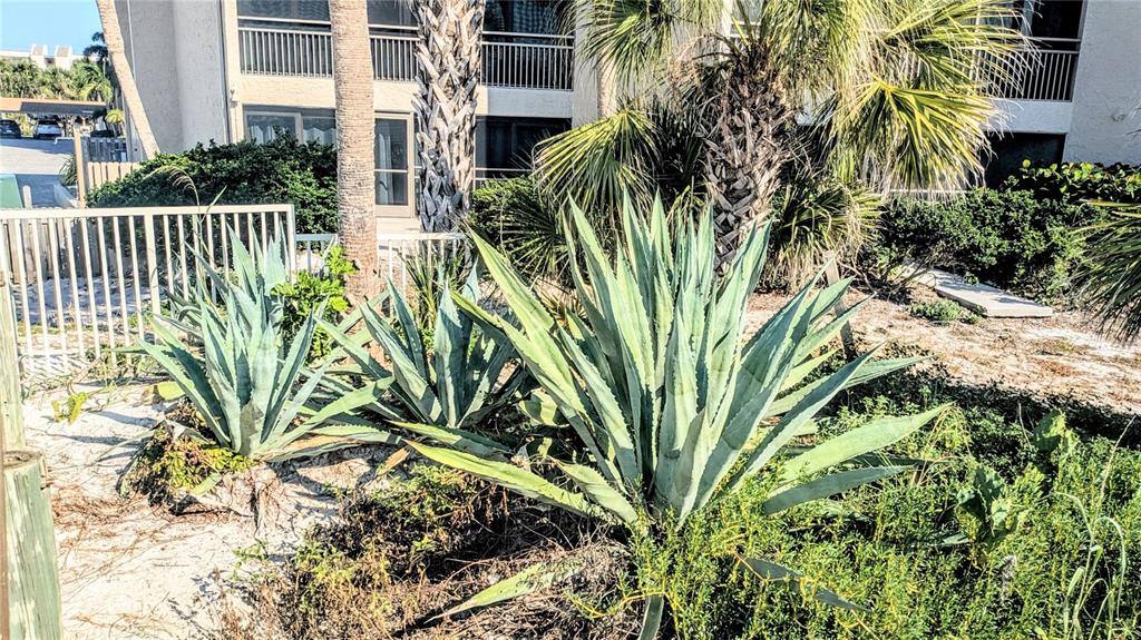 6327 Midnight Pass Road, Unit 999 Sarasota, FL 34242 - Photo 36 of 51 Gallery Image 36