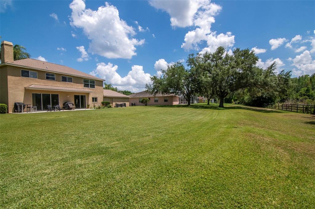 18511 Bittern Avenue Lutz, FL 33558 - Photo 53 of 63