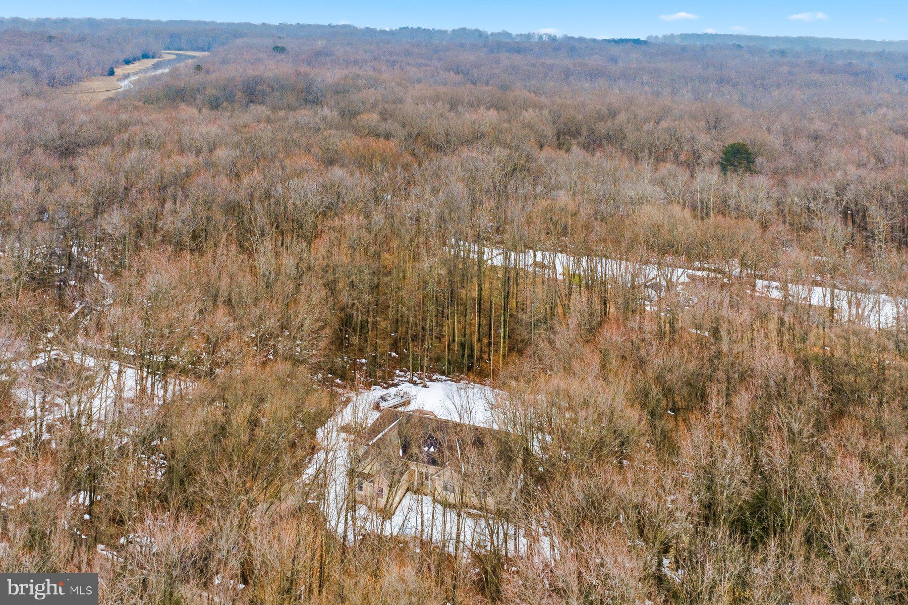 5375 Deale Churchton Road Churchton, MD 20733 - Photo 39 of 47 a view of a dry yard with trees in the background