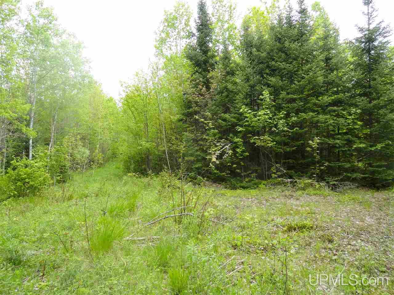 2 Rd Rock Mi 49880 Road Rock, MI 49880 - Photo 10 of 39