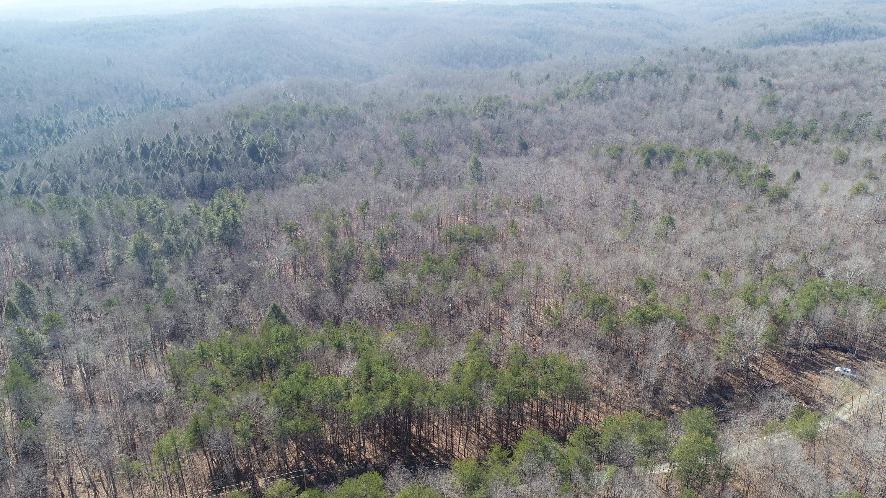 777 Rocky Point School Road Williamsburg, KY 40769 - Photo 30 of 31 DJI_0261