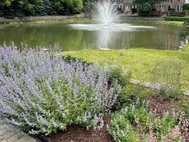 105 Spring Avenue Naperville, IL 60540 - Photo 36 of 40