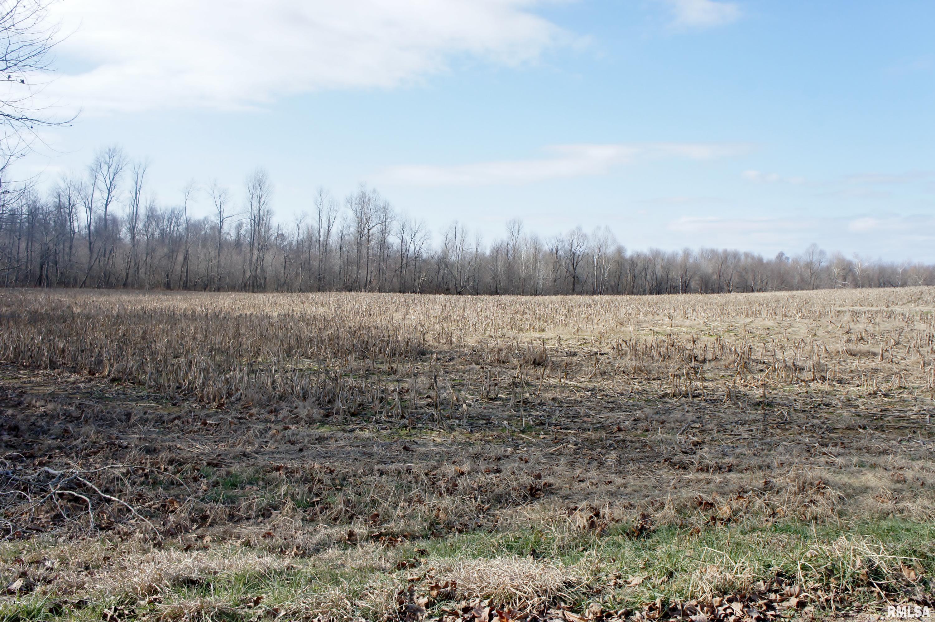 Tbd Mt Pleasant Road Metropolis, IL 62960 - Photo 3 of 9