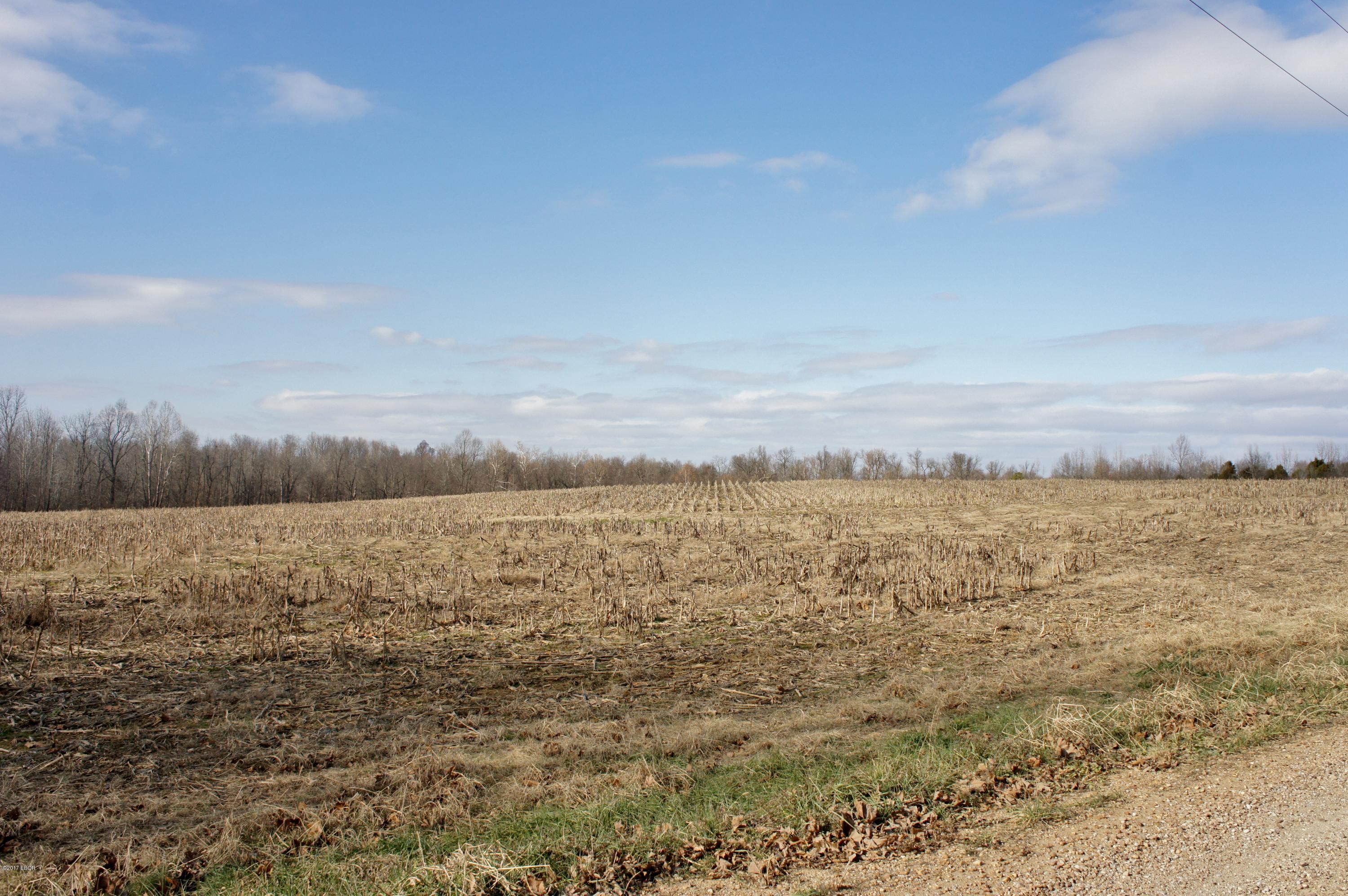 Tbd Mt Pleasant Road Metropolis, IL 62960 - Photo 4 of 9