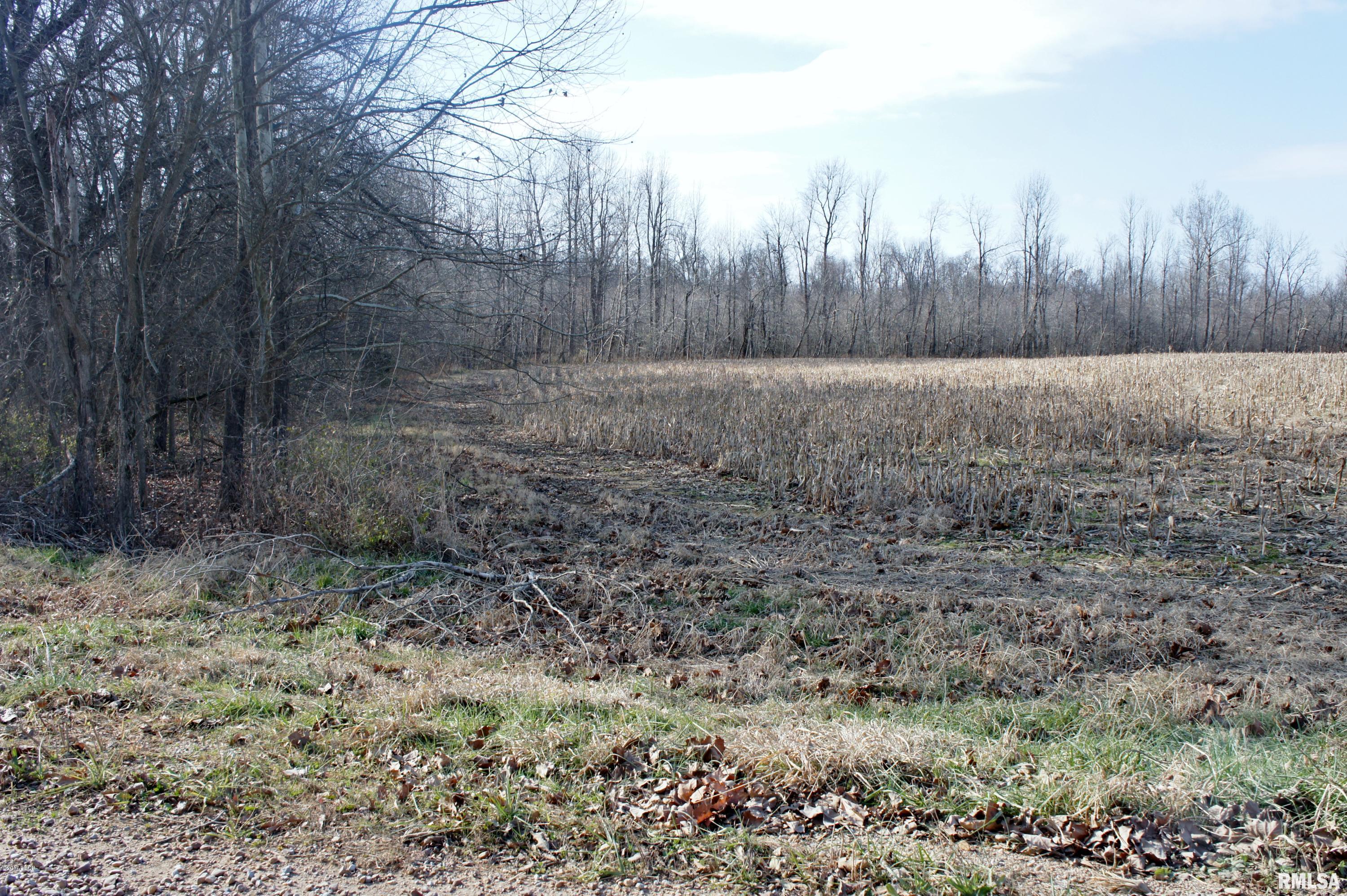 Tbd Mt Pleasant Road Metropolis, IL 62960 - Photo 5 of 9