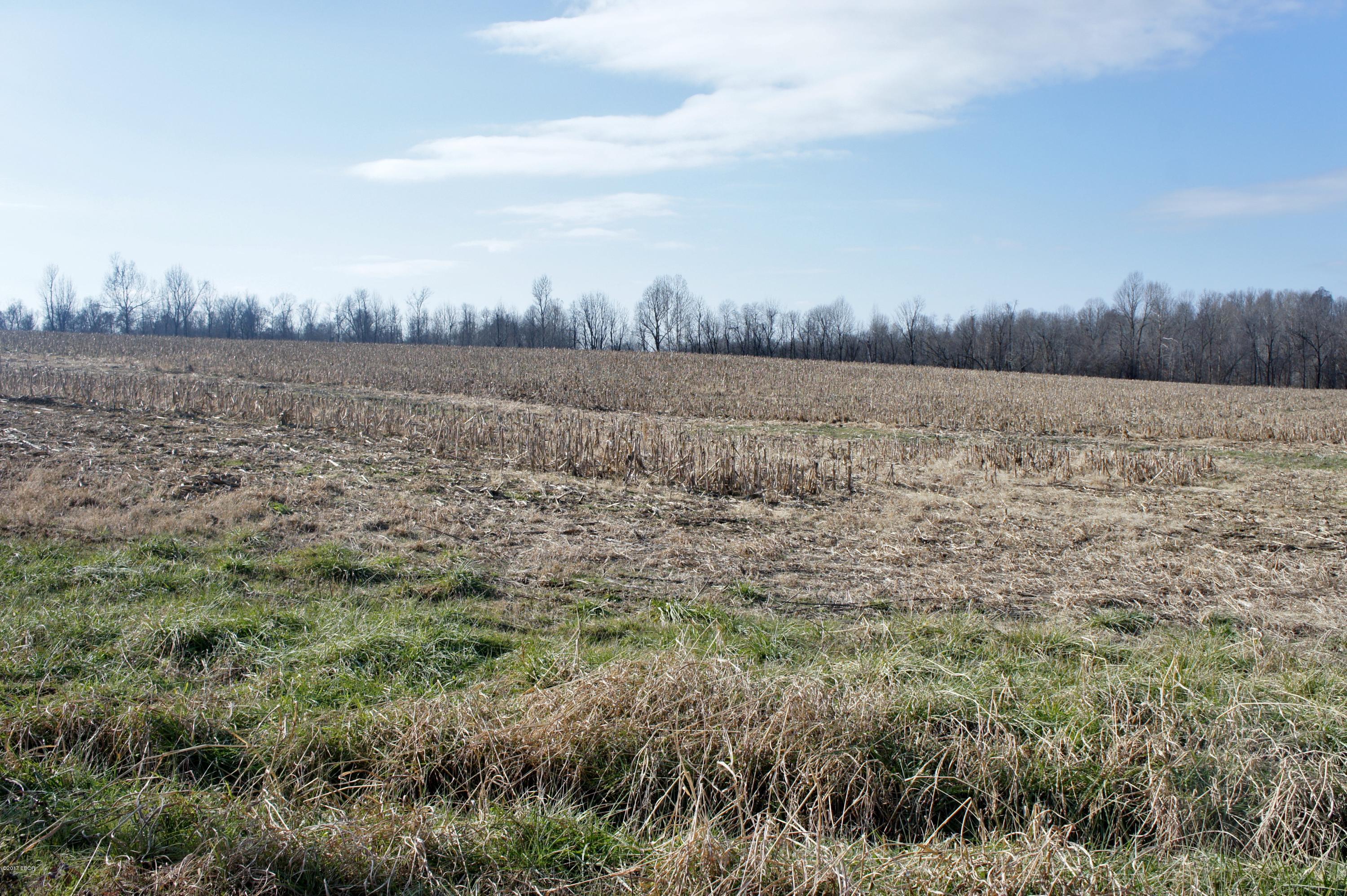 Tbd Mt Pleasant Road Metropolis, IL 62960 - Photo 6 of 9