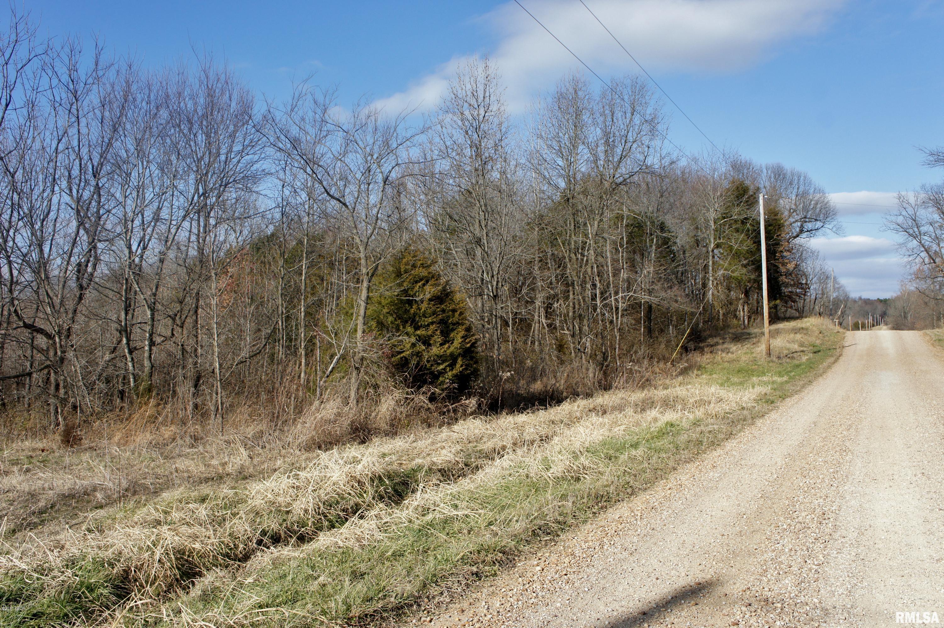 Tbd Mt Pleasant Road Metropolis, IL 62960 - Photo 8 of 9