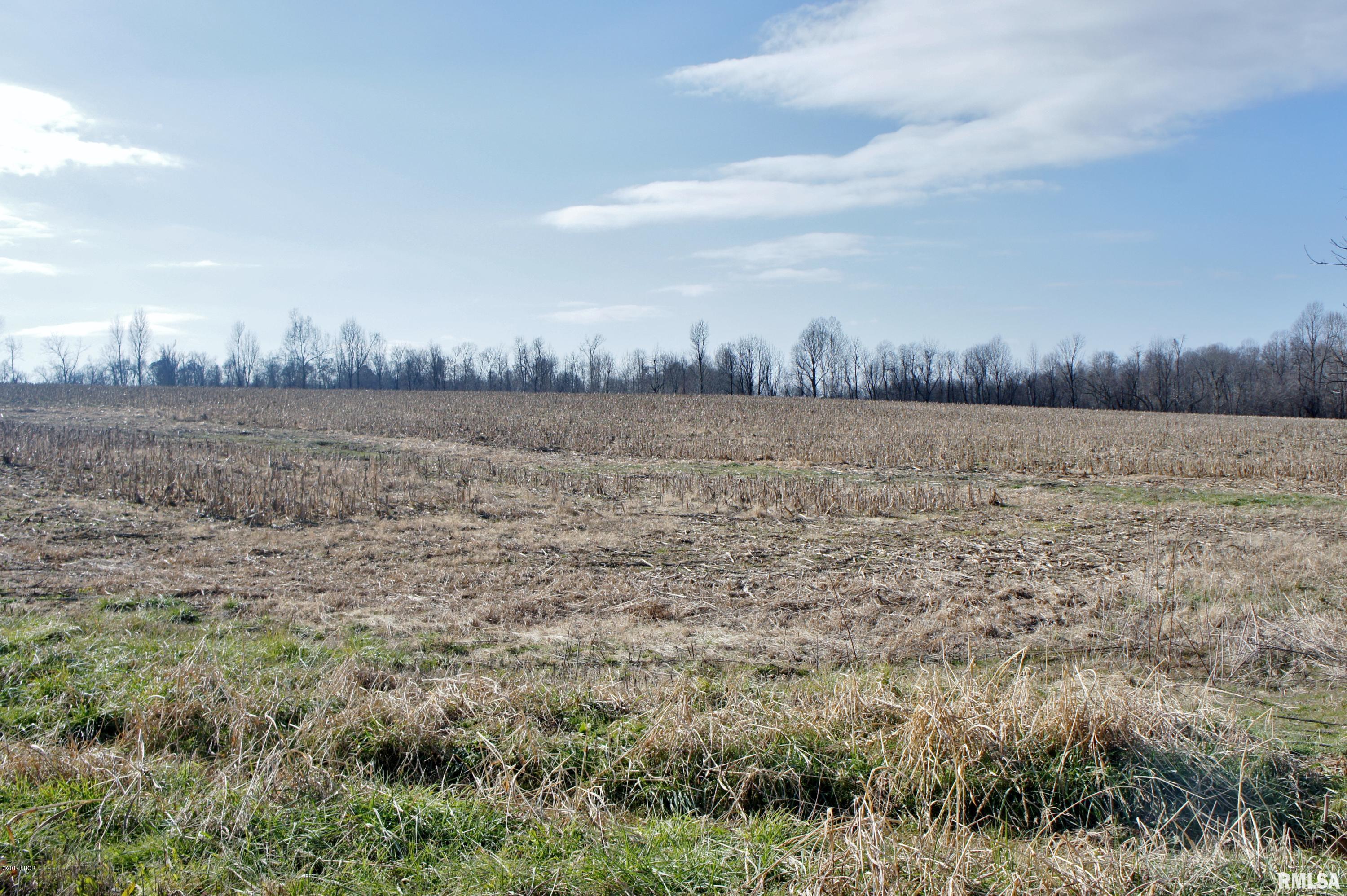 Tbd Mt Pleasant Road Metropolis, IL 62960 - Photo 9 of 9