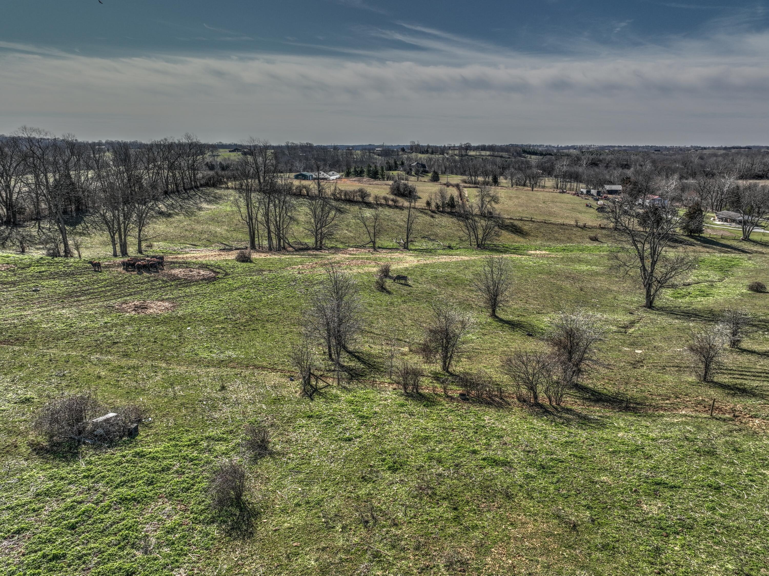 9999 Colville Road Paris, KY 40361 - Photo 25 of 38 DJI_0254_5_6 Colville Rd Farm