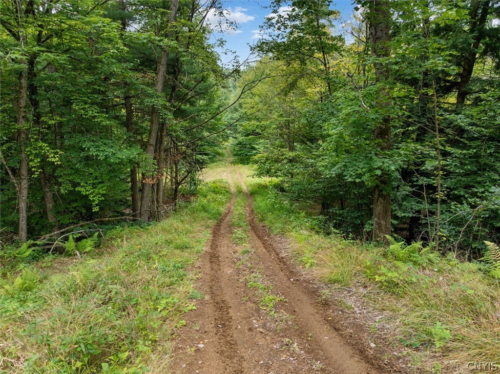 0 Piseco Road Stratford, NY 13470 - Photo 5 of 15 Gallery Image 5