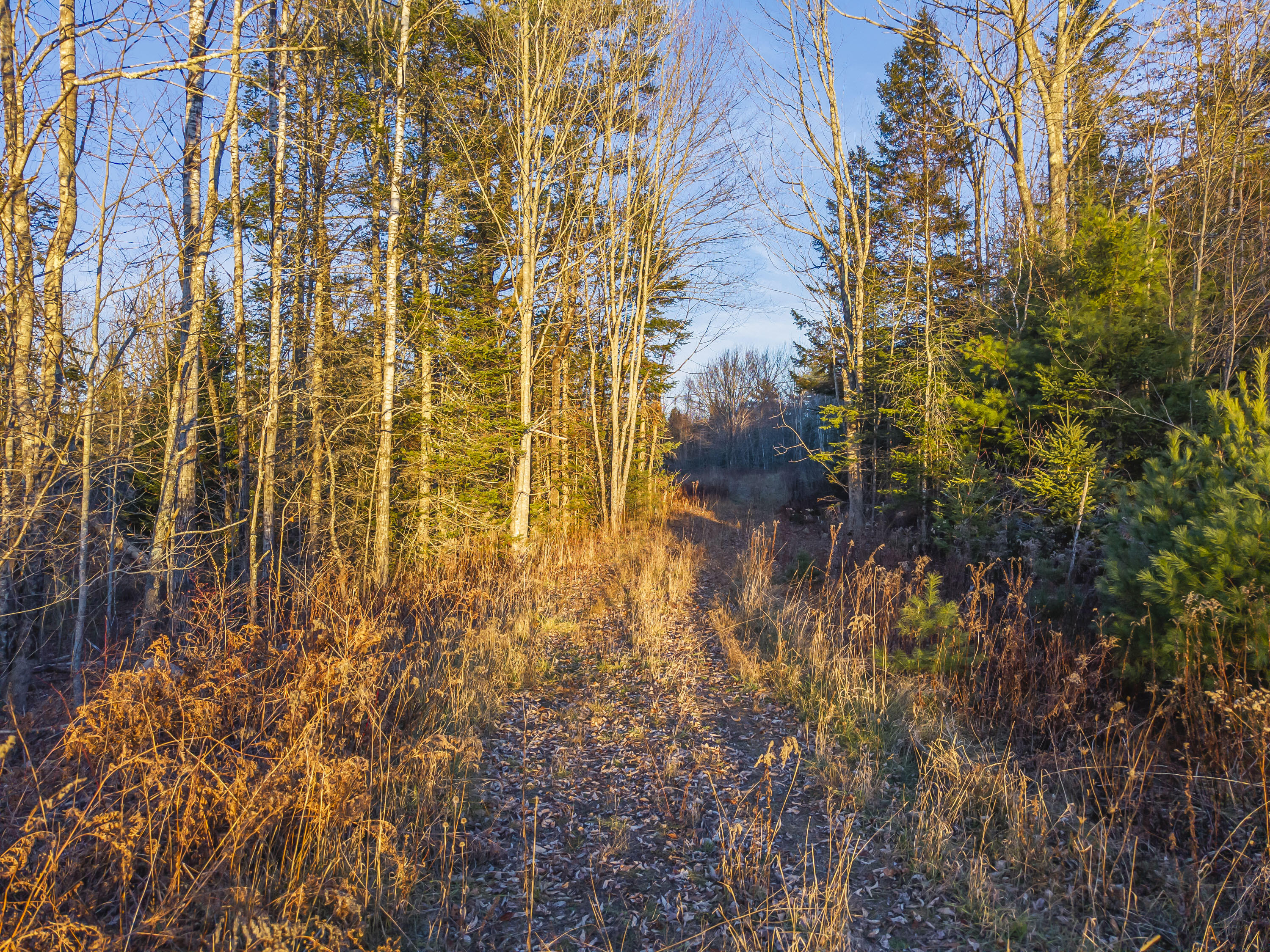 Lot A Lot A Reef Road Waldoboro, ME 04572 - Photo 28 of 33 Reef Rd_129