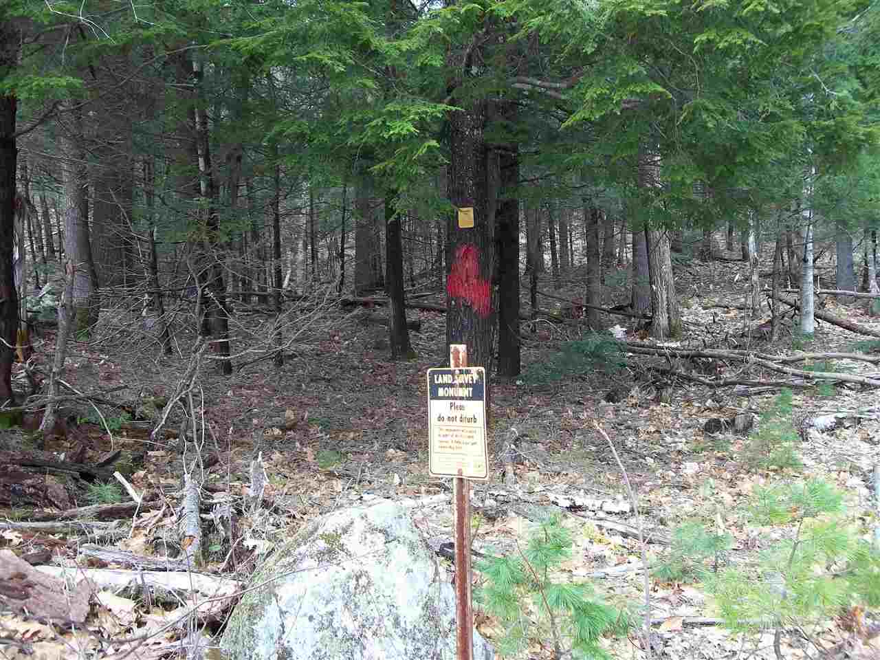 Hill Road Center Conway, NH 03813 - Photo 2 of 6